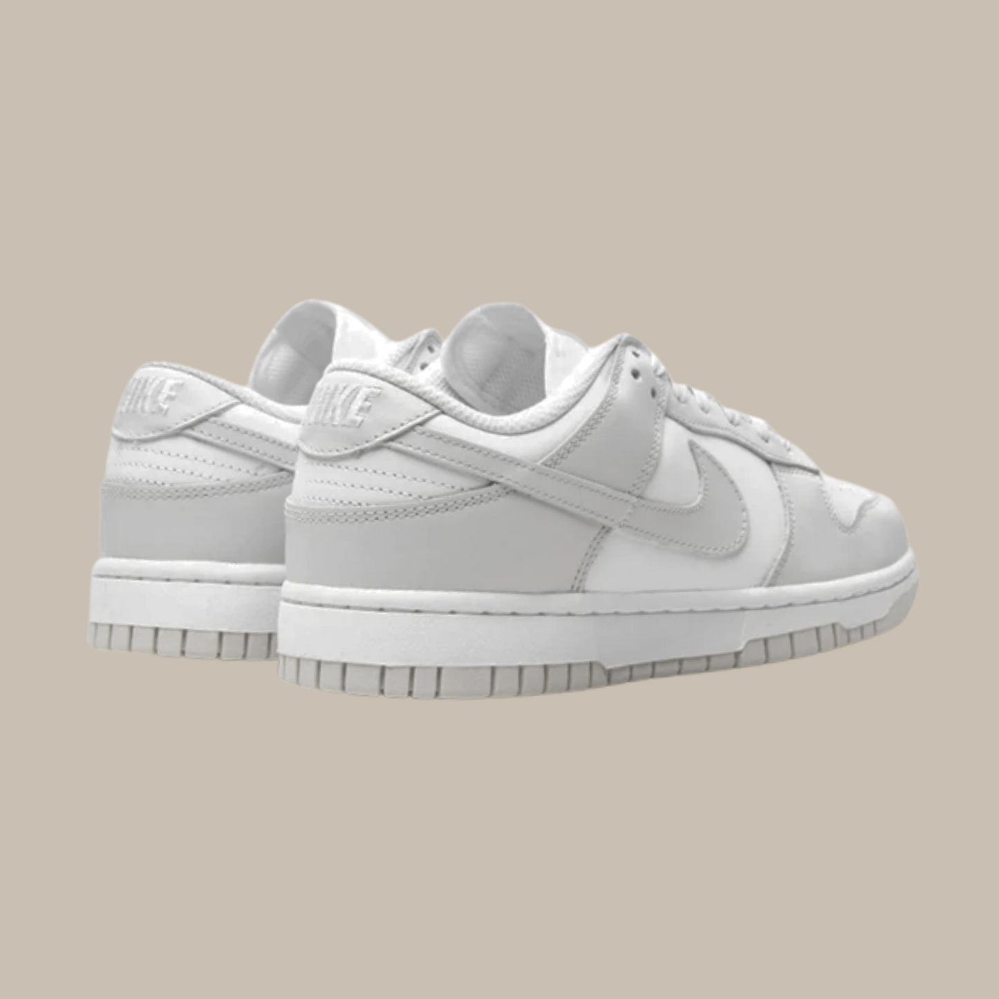 AccidentalFashionIcon_Dunk_Low_WMNS_Photon_Dust_Backview