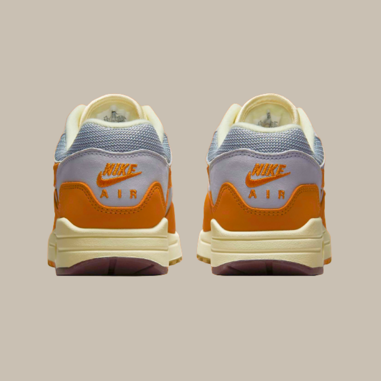 AccidentalFashionIcon_Nike_AirMax1_Patta__Monarch_backview